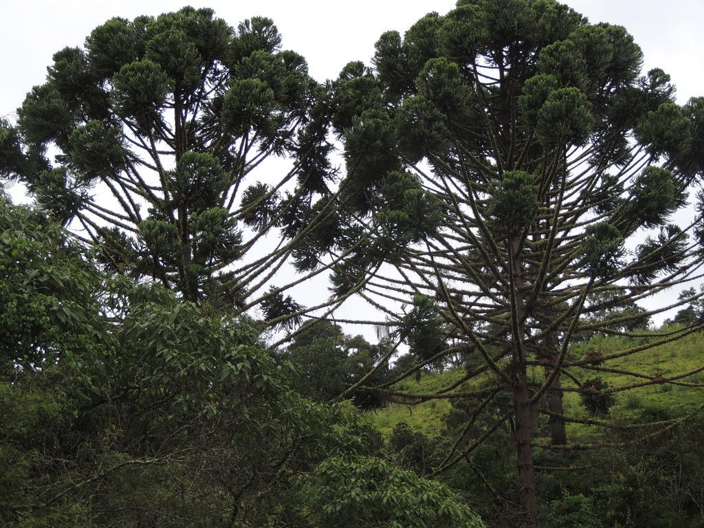 To Na Roca Villa Cunha Dış mekan fotoğraf