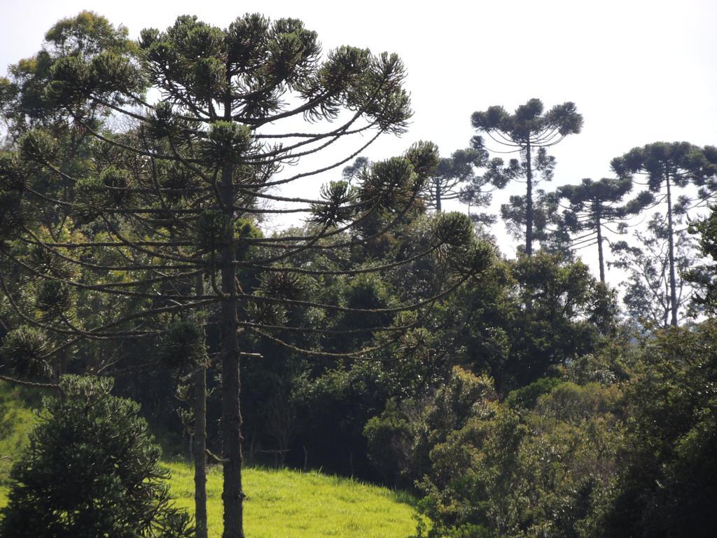 To Na Roca Villa Cunha Dış mekan fotoğraf
