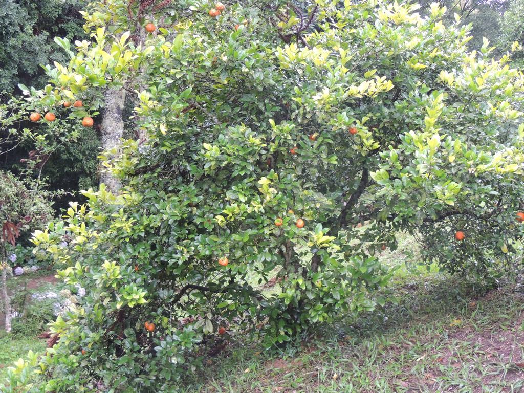 To Na Roca Villa Cunha Dış mekan fotoğraf